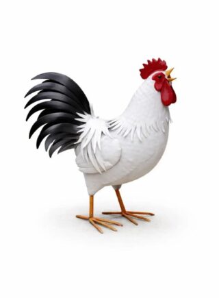 metalen witte haan 50cm - Eliassen.nl