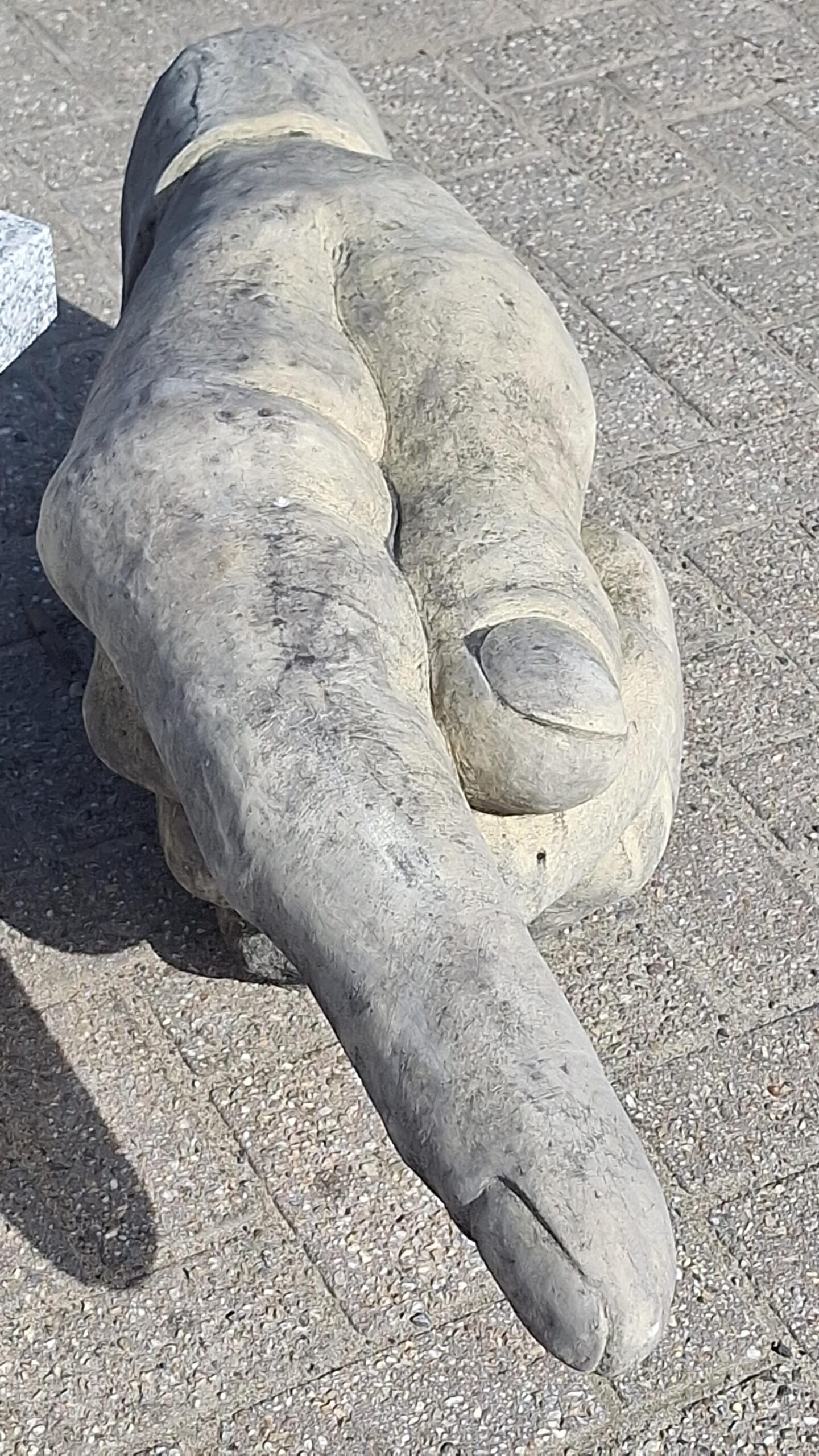 Beeld Sculptuur Wijzende hand 84cm