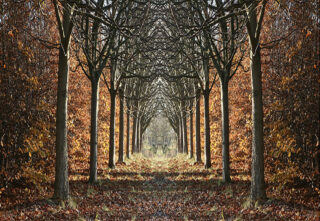 Glasschilderij bospad 110x160cm - Eliassen.nl
