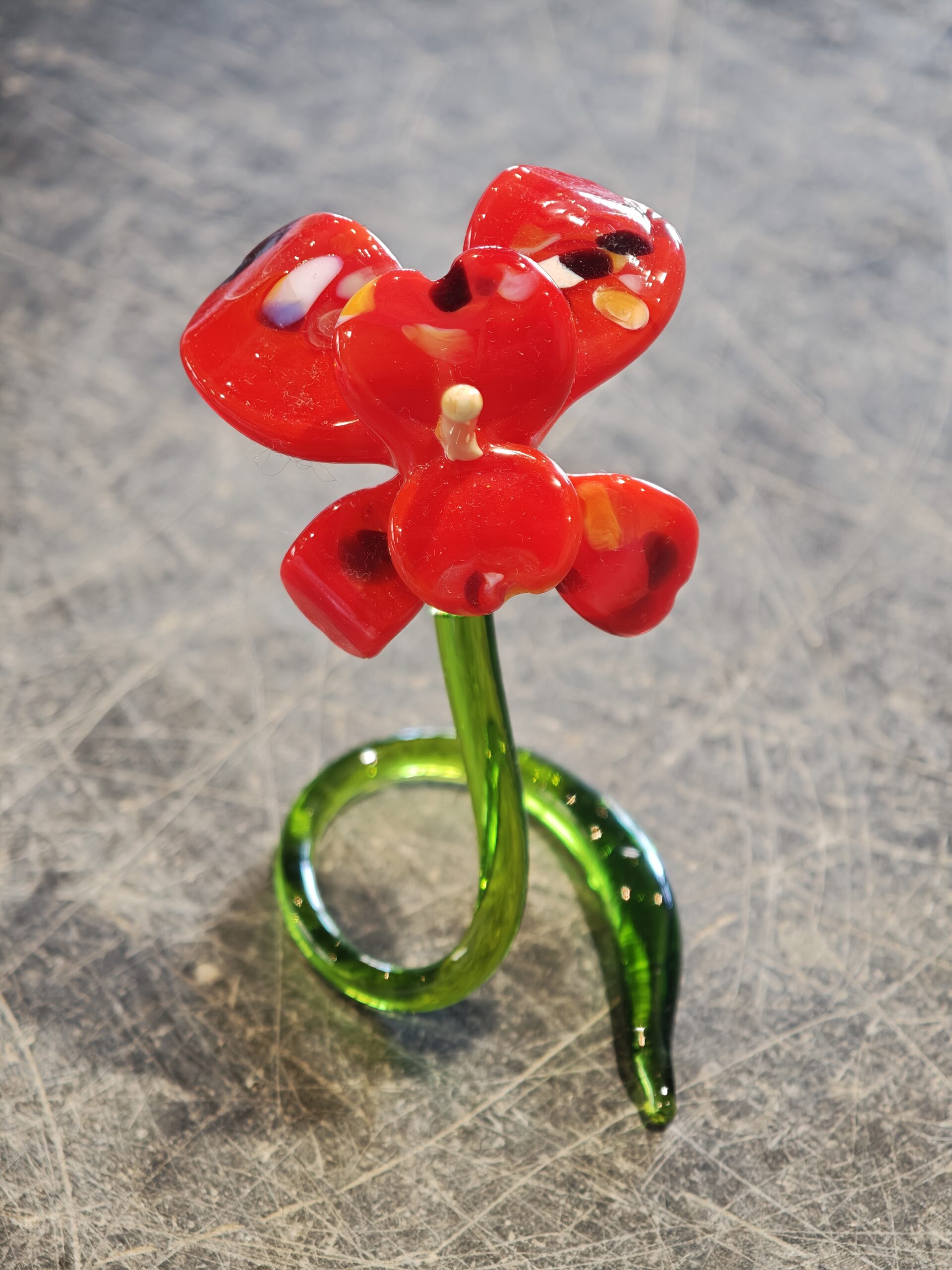 Miltonia bloem mini van glas rood 12cm