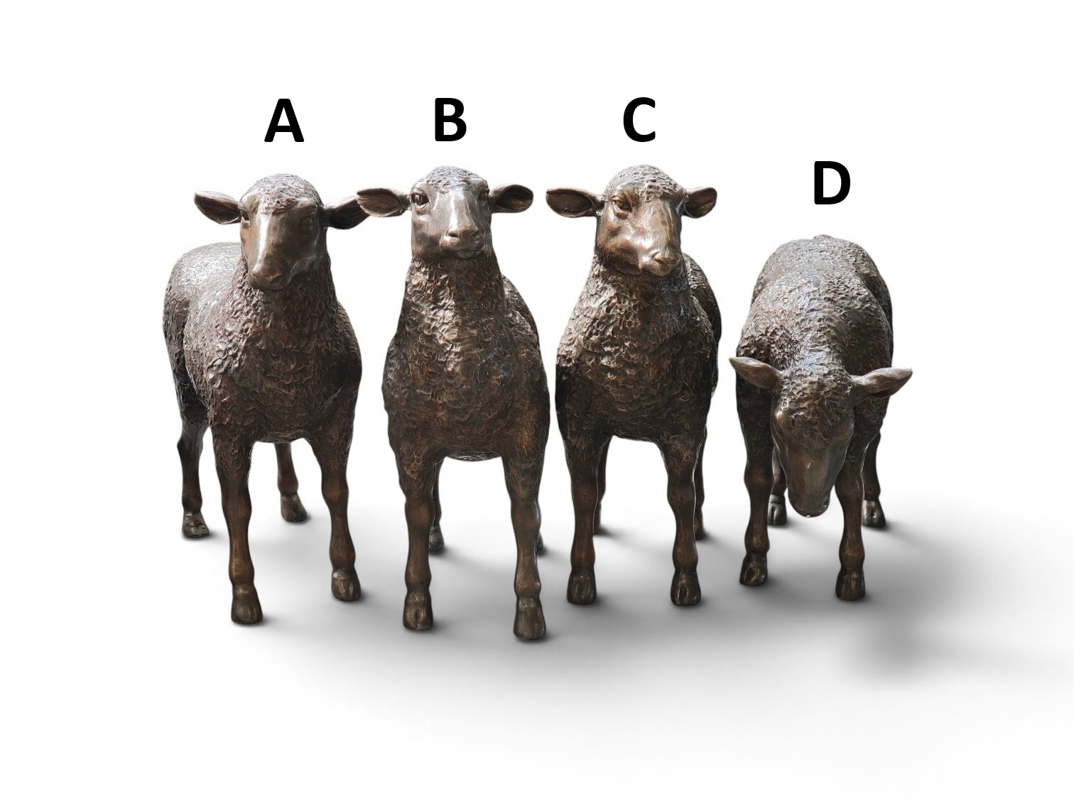 Bronzen beelden 4 schapen set of los