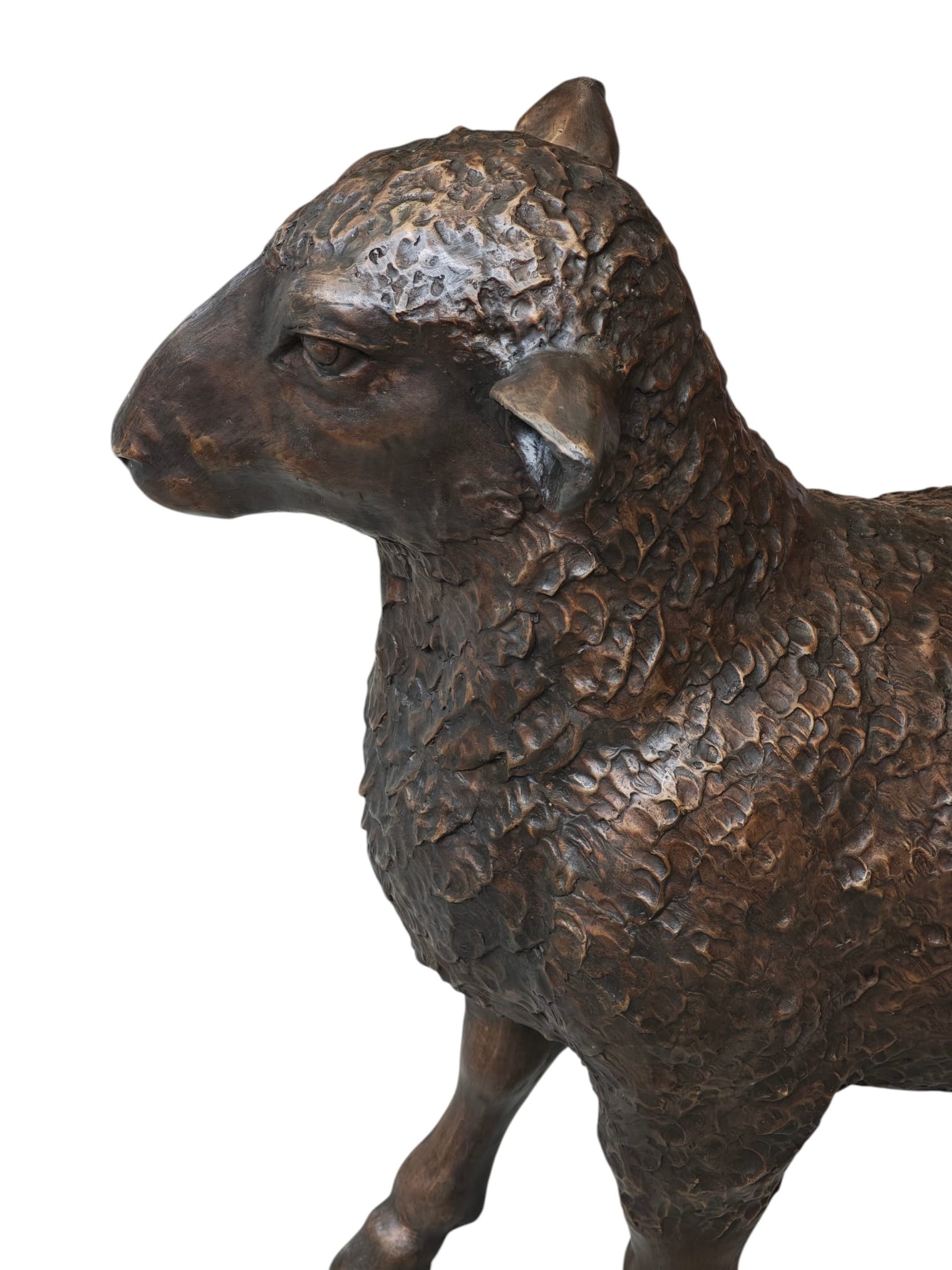 Bronzen beelden 4 alpaca's set of los