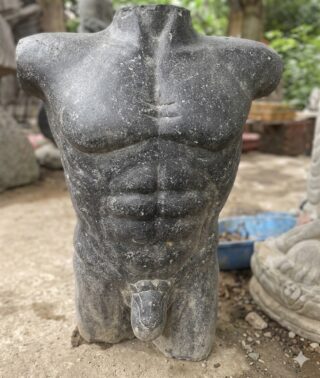 Beeld mannen torso 50cm - Eliassen.nl